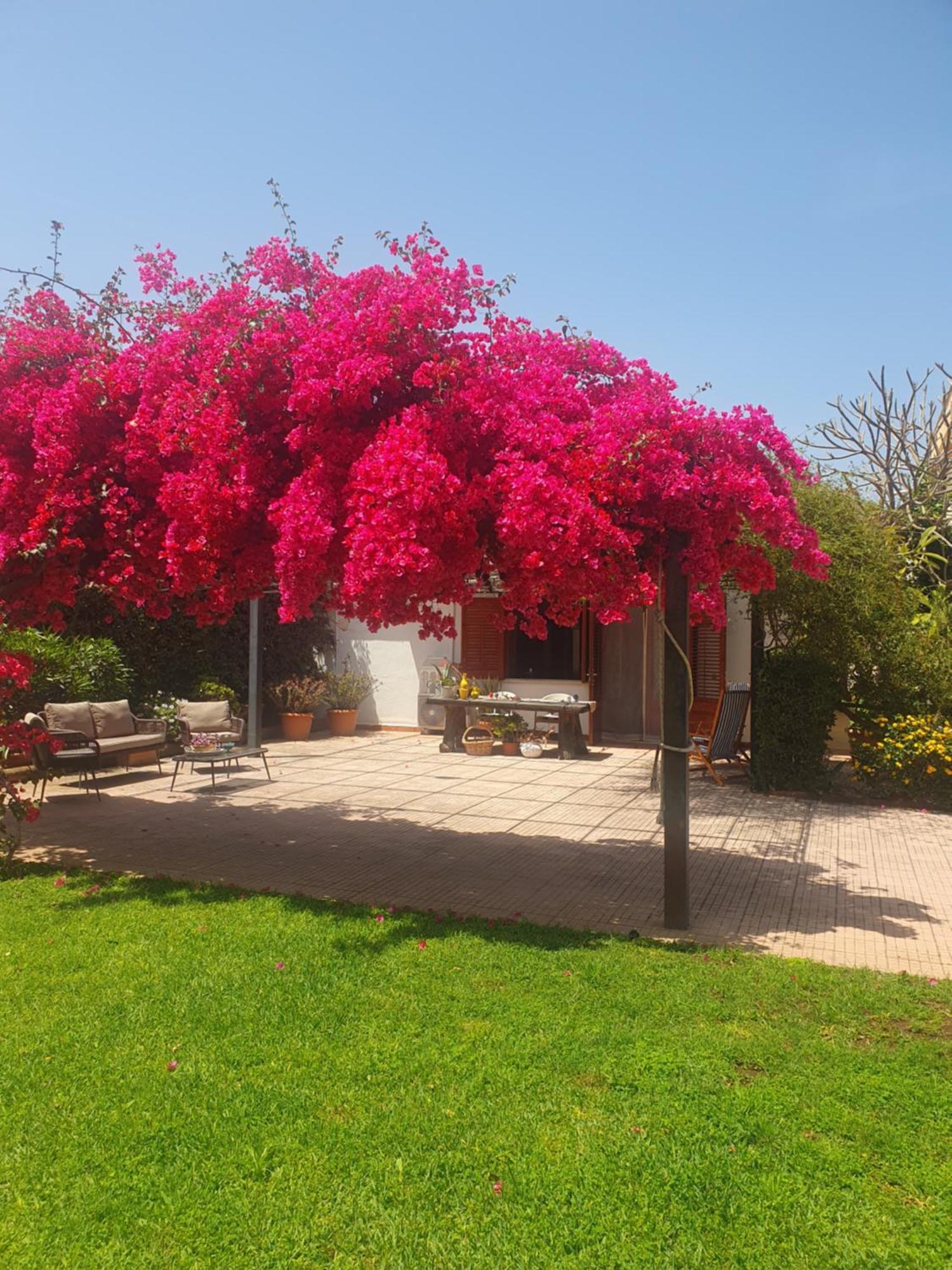 La Depandance Di Villa Rosa Locazioni Brevi Mondello Zewnętrze zdjęcie